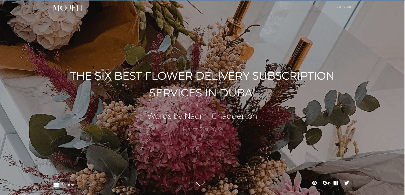 Bloomandwild.com